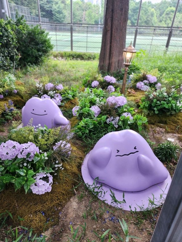 【ソウル🇰🇷】期間限定！メタモンガーデン🪻