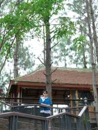 Cedar ป่าสน cafe
