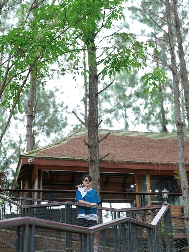 Cedar ป่าสน cafe