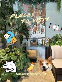 Pause cafe Rayong🌳🚗