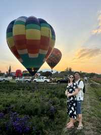 Heaven is a Field of Flowers and a Sky Full of Balloons @Aunty Nok Aeang Flower Farm, Chaing Mai 🎈🌸