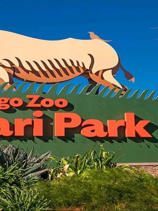 Definitely in the top 3 zoos in the world, is top notch in all aspects