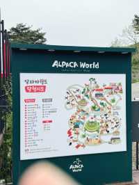  🦙 알파카월드 여행기  “귀여움 폭발! 알파카와 눈맞춤한 힐링 여행 코스”