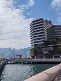 🏨✨ Stay in the Heart of Hong Kong! | Tsim Sha Tsui Hotel  🇭🇰🌆