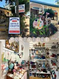 Sunshine Coast Escape: One-Day Trip to Montville & Mooloolaba🌿🌅