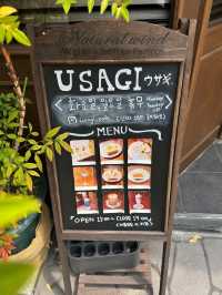 USAGI