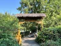 🌿 Huanhuaxi Park – A Calm Escape in the Heart of Chengdu