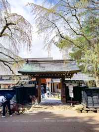 หมู่บ้านซามูไร Kakunodate (角館) – เมืองเล็ก ๆ ในจัง