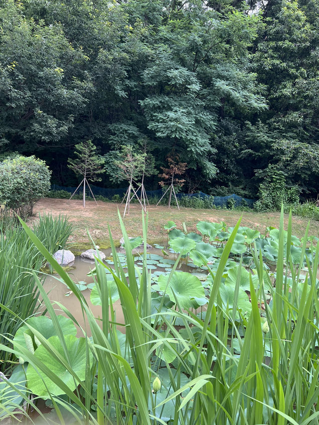 파믹스 센터 카페