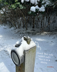 [Japan 🇯🇵] Better than Hokkaido, Yonago's Charming Winter View