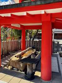 【京都】願いが届く神社！？芸能人も通う京都の最強パワースポット⛩✨