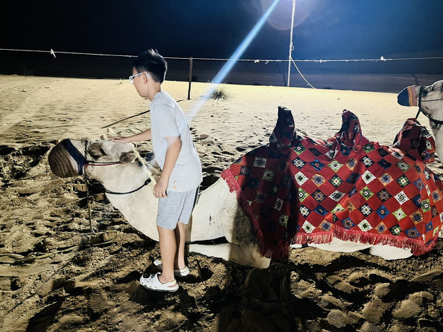Dunes & Dreams: A Desert Adventure in Dubai