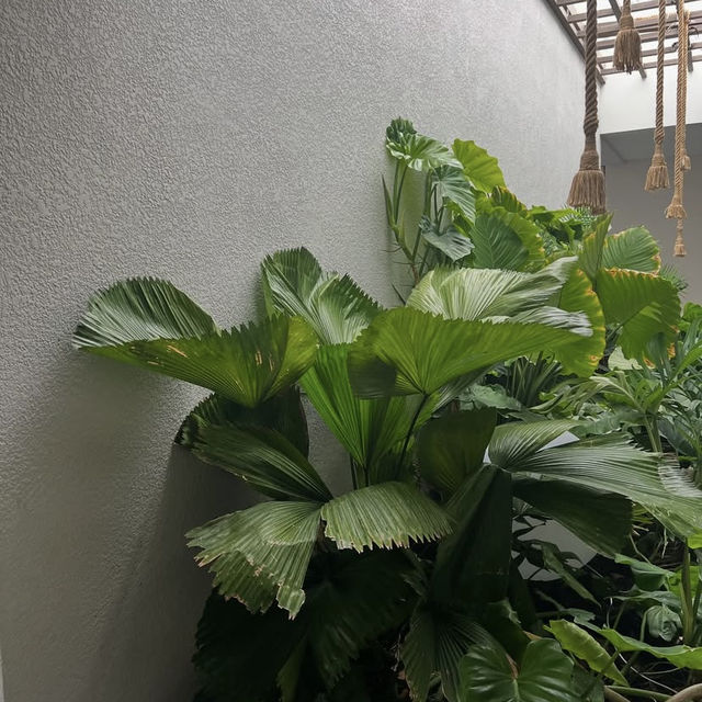 🌿 Palyn Cafe