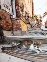 トルコ🇹🇷