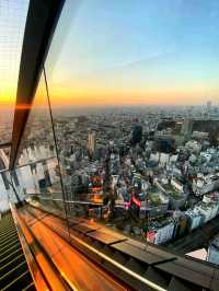 Shibuya Sky: Tokyo from Daylight to Dazzling Night 