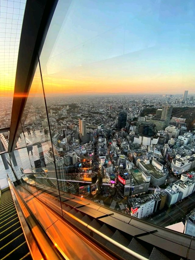 Shibuya Sky: Tokyo from Daylight to Dazzling Night 