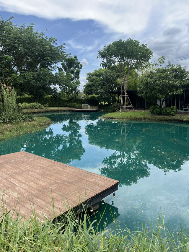  C-Kids Village🌳 สถานที่ตอบโจทย์ทุกคนในครอบครัว