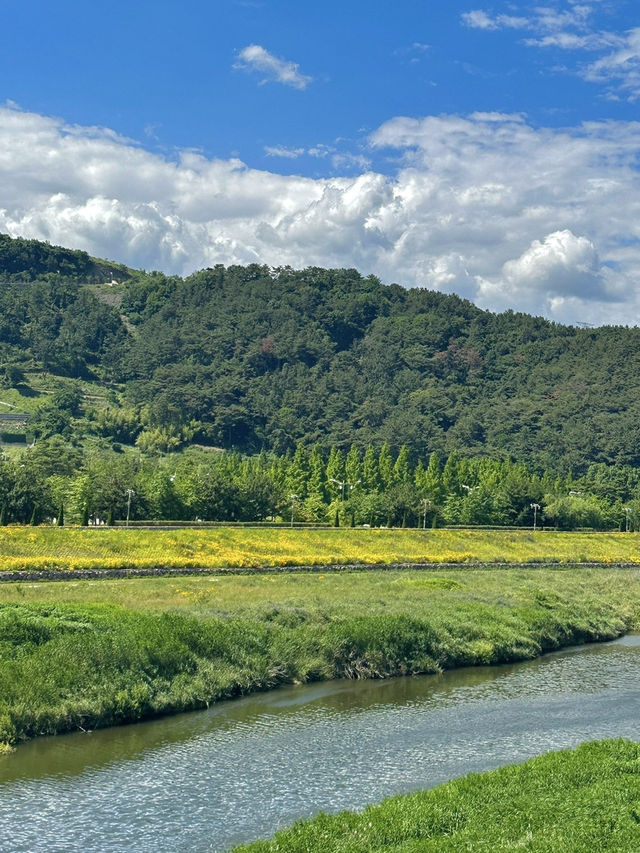 한국가이드 | 양산에서 하루 소확행 🍜🌳