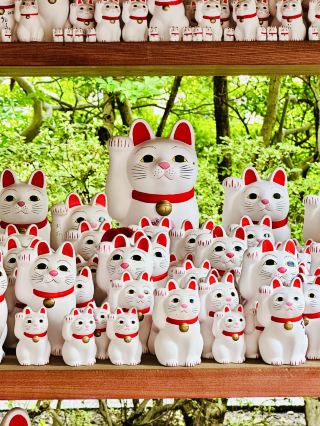 招福猫圣地～豪德寺