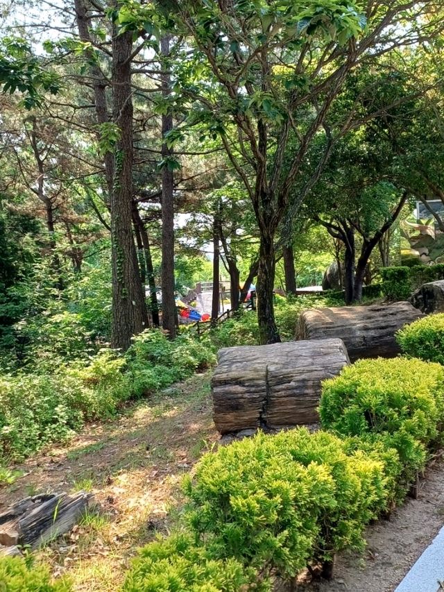 숲길 사이 공룡이 살아 숨 쉬는 듯! 실물 크기 공룡 조형물 🌳🦖