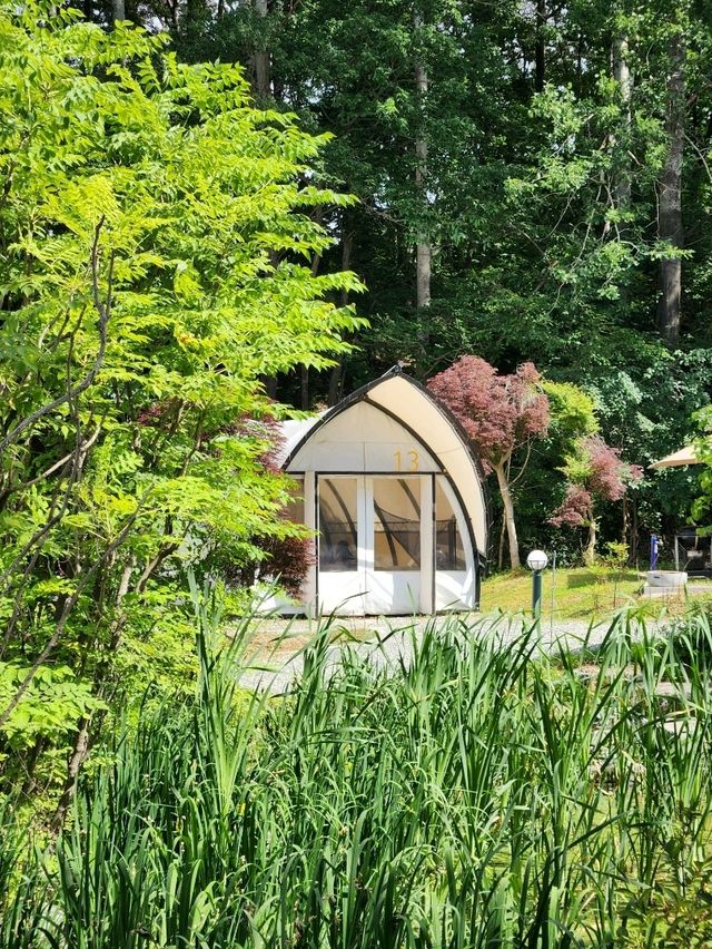 🏕아이랑 여름여행으로 가기좋은 당일글램핑 "워크안산BBQ"🏕