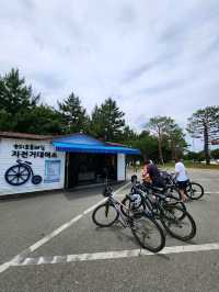 💖고성여행 중 자전거로 특별한 추억을 남겨요 "송지호 둘레길 자전거대여소💖