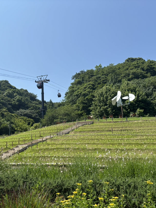 神戶布引香草園：花香世界的夢幻旅程 🌸🦋