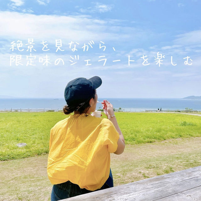 📸本当におすすめ！石垣島の映えスポットツアー🌺🐠