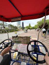 韓妞都愛來這拍「孤獨的樹」🌳 首爾奧林匹克公園全攻略✨