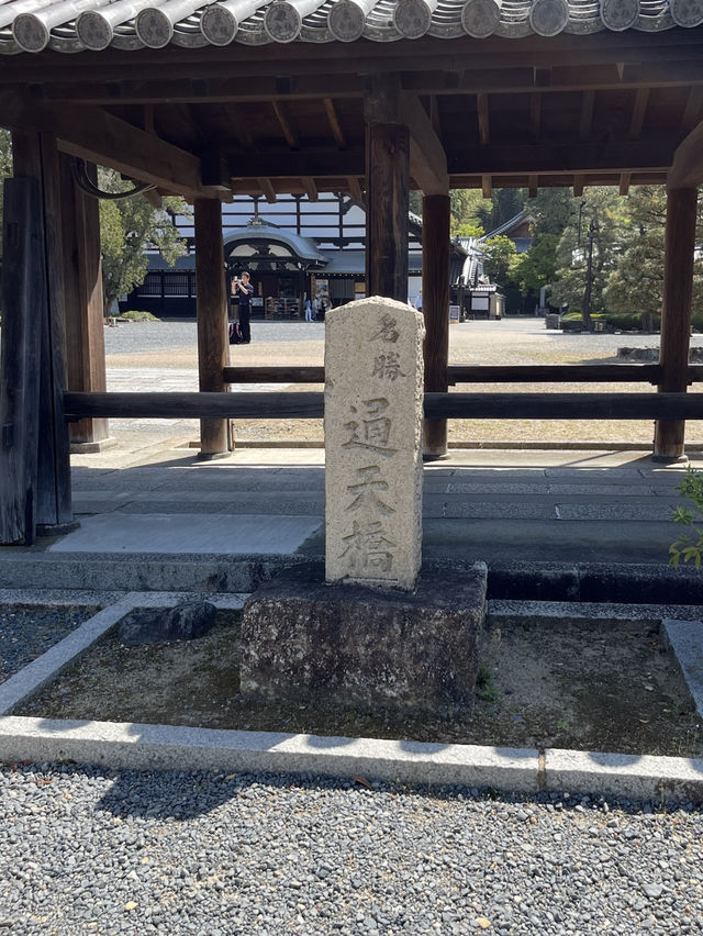 🍃 Hidden Kyoto: Zen Gardens & Tree Views