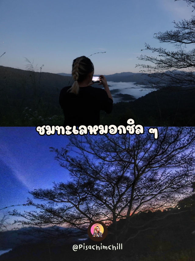 พาเที่ยวชมธรรมชาติ ที่ภูหัวฮ่อม จังหวัดเลย