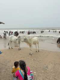 Sunday as Funday at SuryaLanka Beach 