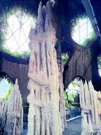 “Discover the Hidden Forest & Crystal Mountain”