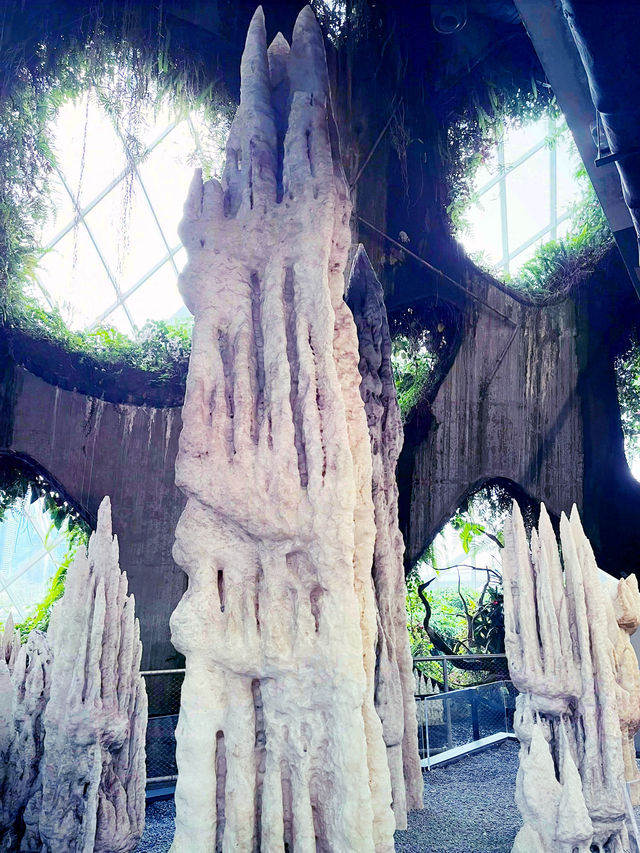“Discover the Hidden Forest & Crystal Mountain”