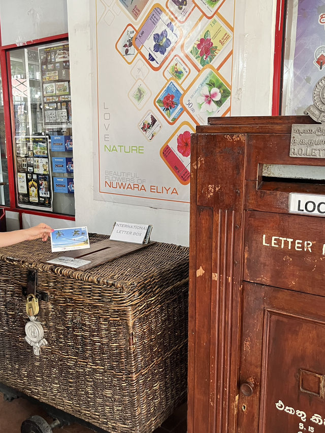🫖🌸 Half-Day in Nuwara Eliya: Tea Hills & the Pink Post Office