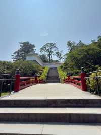 Discover the Magic of Hotoku Ninomiya Shrine: A Summer Adventure in Japan!