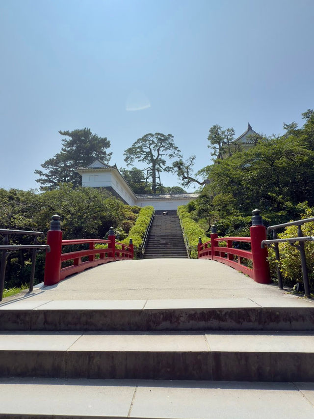Discover the Magic of Hotoku Ninomiya Shrine: A Summer Adventure in Japan!