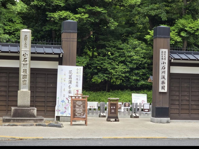 🍁東京・後楽園｜小石川後楽園｜都心のオアシスで、日本と中国の美が融合する庭園散歩🌿✨