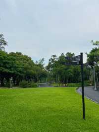 🕊 台北靜靜說故事的角落｜228 和平公園