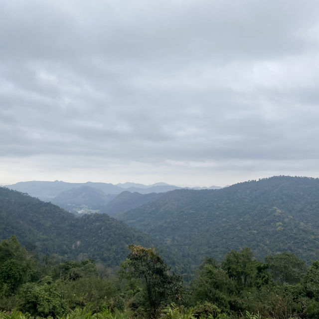 อุทยานแห่งชาติเขาใหญ่ 🌳