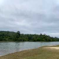 อุทยานแห่งชาติเขาใหญ่ 🌳