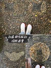 杭州l 趁624西湖日來去-📍晚清紅頂商人胡雪巖故居