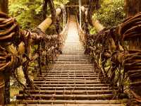 🌿 Solo Adventure: Iya Valley – Japan’s Hidden Mountain Paradise
