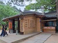 南怡島一日遊攻略｜首爾近郊最夢幻的小島旅行