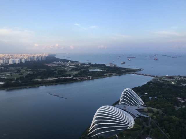 新加坡-金沙酒店SkyPark 觀景台（57樓）