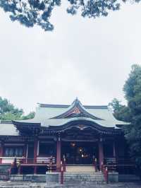 【大人な井の頭公園　東京　吉祥寺　三鷹　井の頭池アラウンドウォーキング】