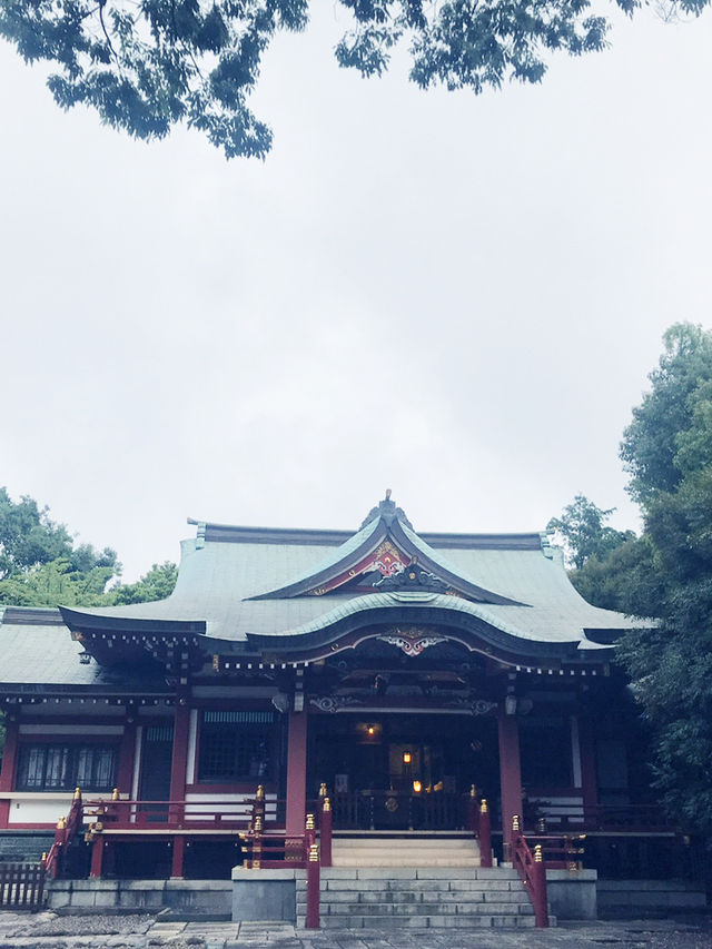 【大人な井の頭公園　東京　吉祥寺　三鷹　井の頭池アラウンドウォーキング】