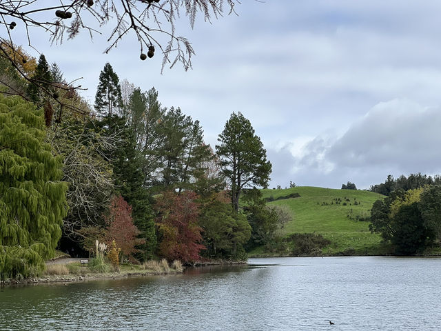 🌿 McLaren Falls Park｜陶朗加後花園的自然療癒地