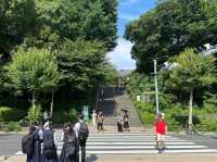 Blossoms, Culture, and Wildlife: Discover Ueno Park