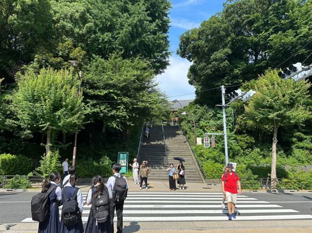 Blossoms, Culture, and Wildlife: Discover Ueno Park